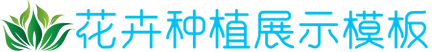 玖鼎集团入口,9D娱乐城